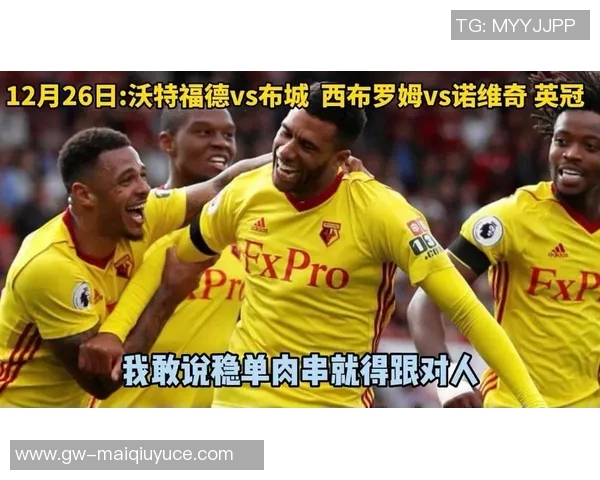 运动新闻布城与诺维奇的精彩对决谁能在这场比赛中脱颖而出